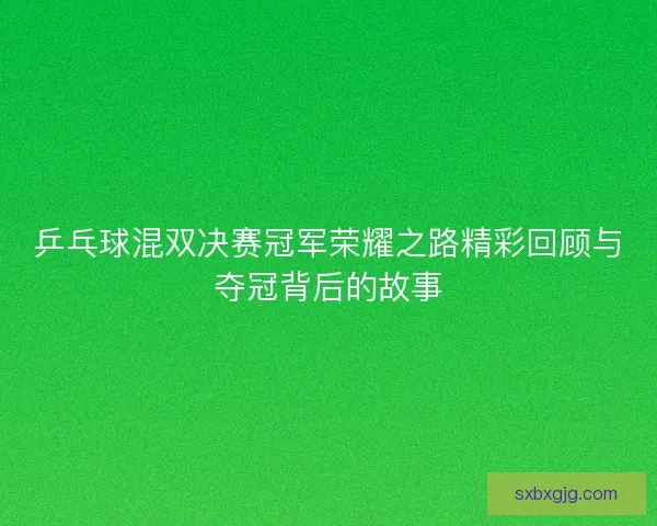 乒乓球混双决赛冠军荣耀之路精彩回顾与夺冠背后的故事